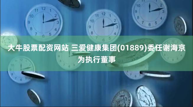 大牛股票配资网站 三爱健康集团(01889)委任谢海京为执行董事